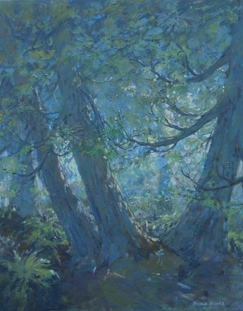 Dancing Cedars