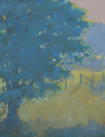 Open Fields #3