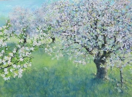 Spring Orchard