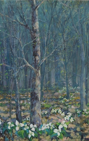 Trillium Woods II