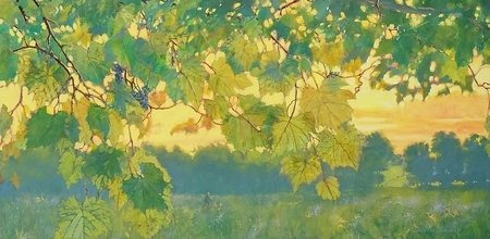 Wild Vines